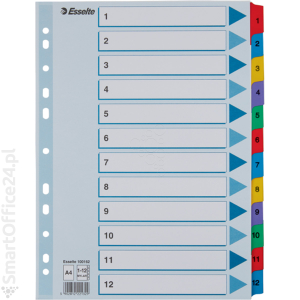 Przekadki kartonowe ESSELTE MYLAR A4 1-12